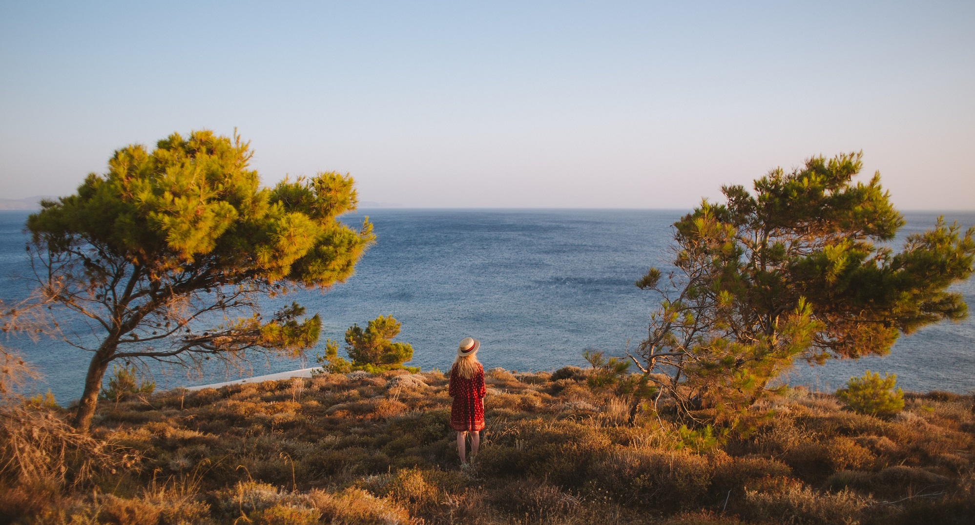 Femme Devant la Mer entre 2 Pins