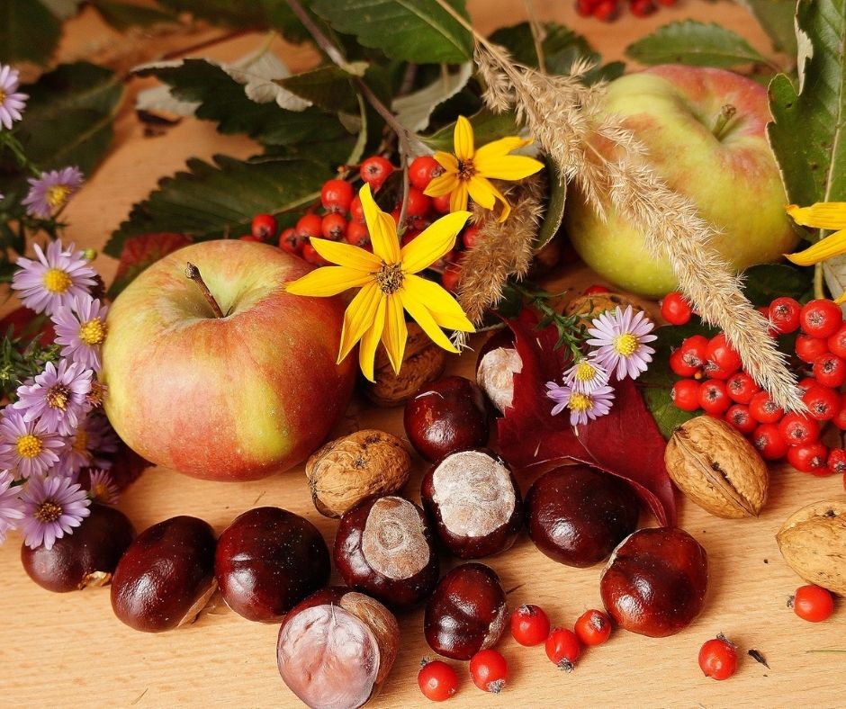 Pomme Chataignes et Fleurs